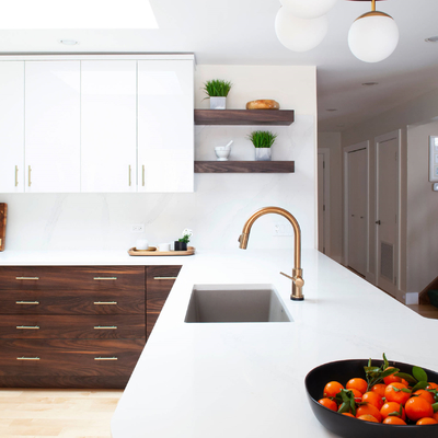 Shaker Style Particle Board Kitchen-Hoge de Kabinetten polijsten Wit Vlak Comité Matte Brown Timber Veneer