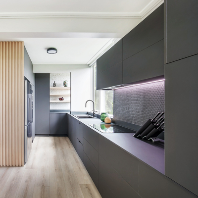 Houten Hangend Kabinet 2 Pac Matt Gray Finish Base Cabinet van de aanpassingsluxe